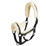 Halfter Webpelz Pferd schwarz/beige Halfter Webpelz Pferd schwarz/beige