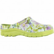 Clog Lily Anisgrün Größe 41 Clog Lily Anisgrün Größe 41