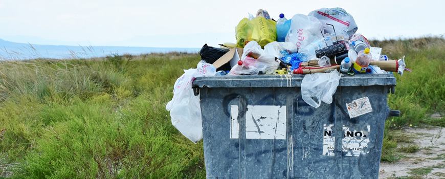 Umweltministerin: Bis 2021 sollen Einwegplastik-Produkte verschwunden sein Umweltministerin: Bis 2021 sollen Einwegplastik-Produkte verschwunden sein