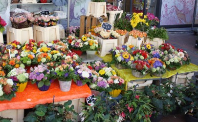 Hildener Frühling Mittelstraße Hildener Frühling Mittelstraße