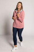 Sweatjacke, Steppeinsatz, Sternenfutter-Kapuze Sweatjacke, Steppeinsatz, Sternenfutter-Kapuze