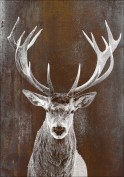 Aludibondbild BROWNDEER II Aludibondbild BROWNDEER II