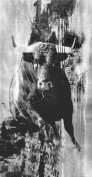 Originalbild REAL BULL Originalbild REAL BULL