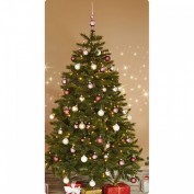 Baum 185 cm Bristlecone 1St Baum 185 cm Bristlecone 1St
