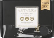 ASTALEA Auto Duftstein All Black ASTALEA Auto Duftstein All Black